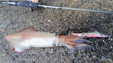 またまた、最後に・・・・?