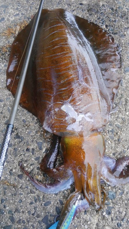 ふらっとよって？