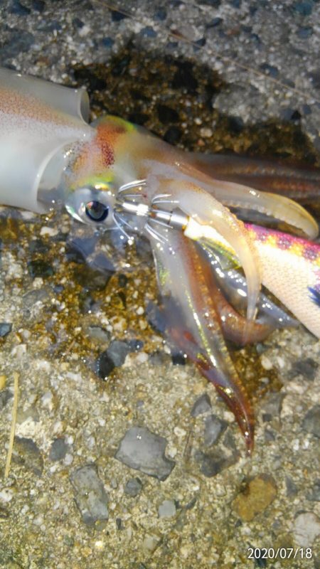 君じゃないけど、うれしい。