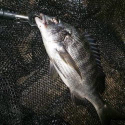 場所移動成功　汐見運河