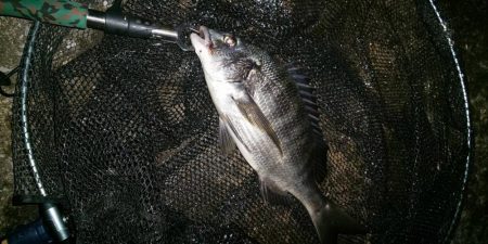 場所移動成功　汐見運河