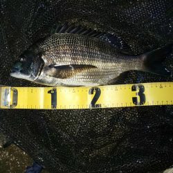 どうにかGET　～汐見運河～