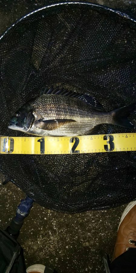 どうにかGET　～汐見運河～