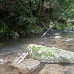 雨が吉と出るか⁉️