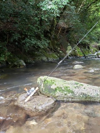 雨が吉と出るか⁉️