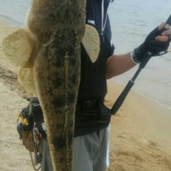 マゴチ64センチ