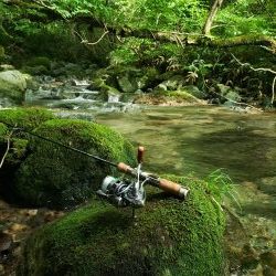 水位高く渓流にまわりました。