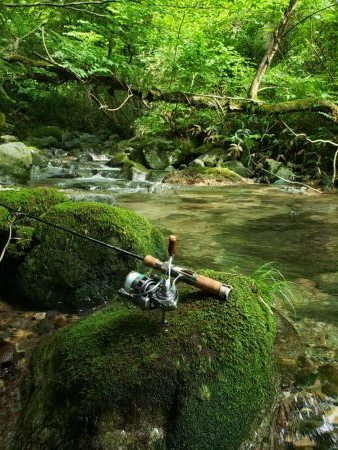 水位高く渓流にまわりました。