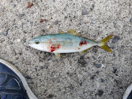 ダブルハンドルでないと引きずり込まれていた…