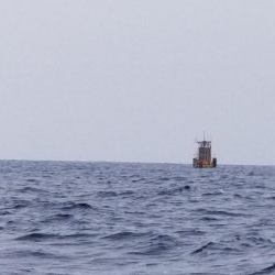 マリンホロボ周辺ジギング