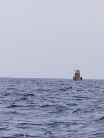 マリンホロボ周辺ジギング