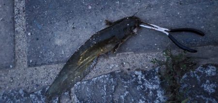 こんな状況なので近場で…