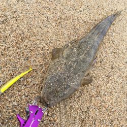 北条サーフマゴチ2連