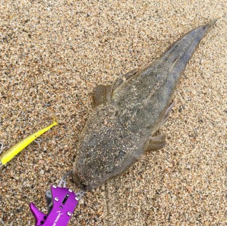 北条サーフマゴチ2連