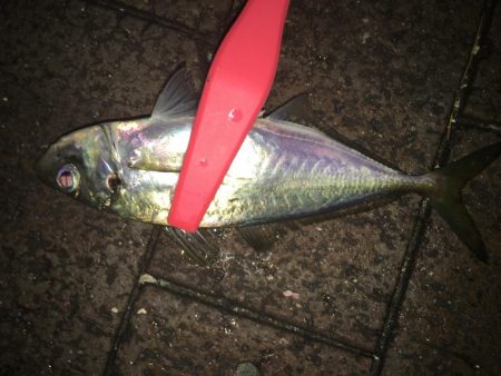 スプリットアジング