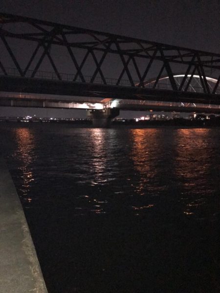 淀川のチニング