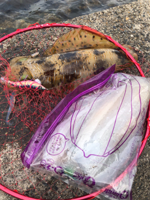 久しぶりに釣れた