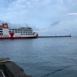 金谷港サビキ　泳がせ