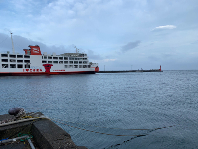 金谷港サビキ　泳がせ