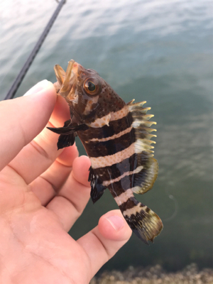 二ヶ月ぶりの釣り！