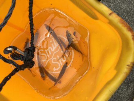 ファミリーフィッシング