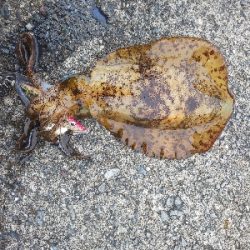 激濁りの後、、、