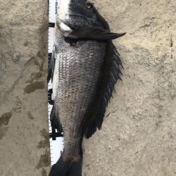 イチノ兄弟、釣果!