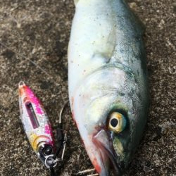 雨上がりデイゲーム