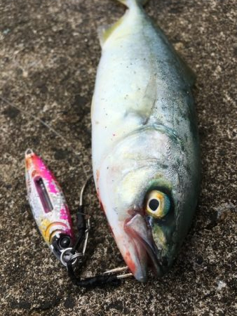 雨上がりデイゲーム