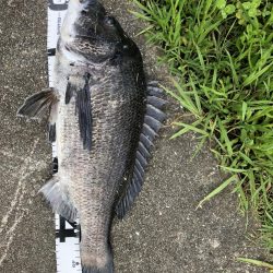 イチノ兄弟、釣果!