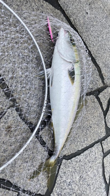 忍耐ショアジギ