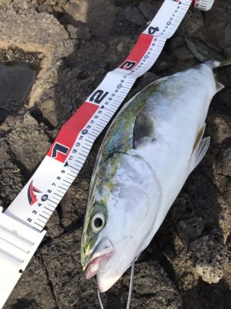 真夏・真昼間のトップゲーム