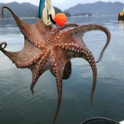 タコ＆キス釣り