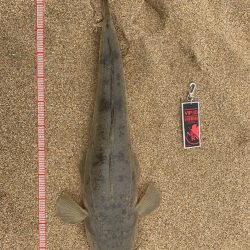 雨の合間にちょっと釣りしたら・・・