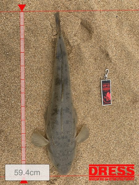 雨の合間にちょっと釣りしたら・・・