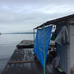 カタタのイカダ釣り