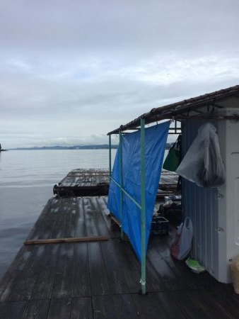 カタタのイカダ釣り