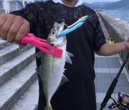 夜釣りからの朝マズメ