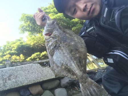 ギリギリヒラメちゃん