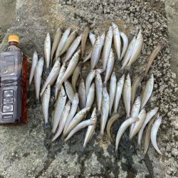 続くよキス祭り