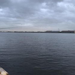 雨上がりのアジング