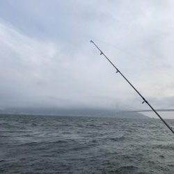 爆風なため五目釣り