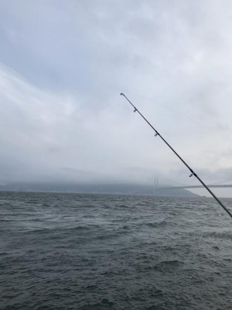 爆風なため五目釣り