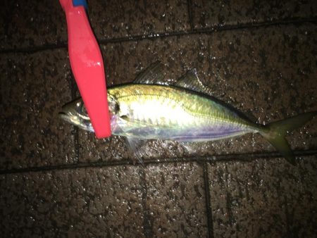 スプリットリグアジング