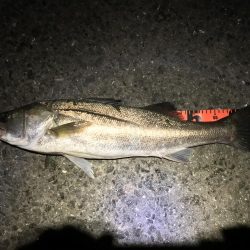 ナナマルまであと少し