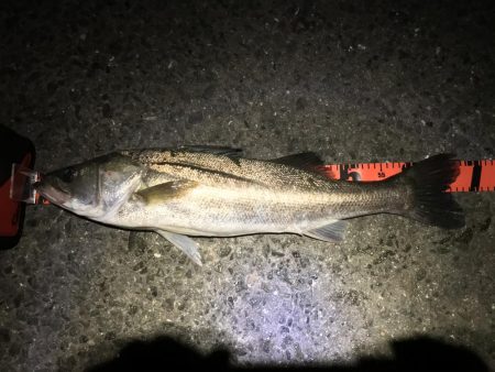 ナナマルまであと少し