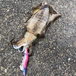 ひっさしぶりー!