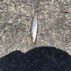 やっぱりか、、、