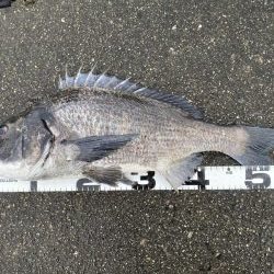 イチノ兄弟、釣果!