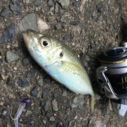 渋い渋いデイアジング